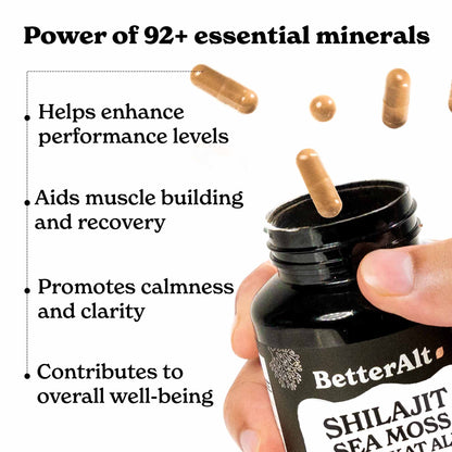 Himalayan All-in-One Capsules